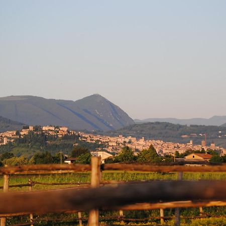 Agriturismo Il Barco Spello Eksteriør billede