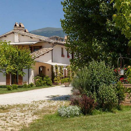 Agriturismo Il Barco Spello Eksteriør billede