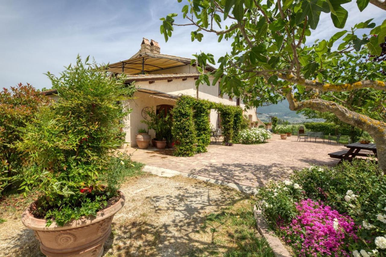 Agriturismo Il Barco Spello Eksteriør billede