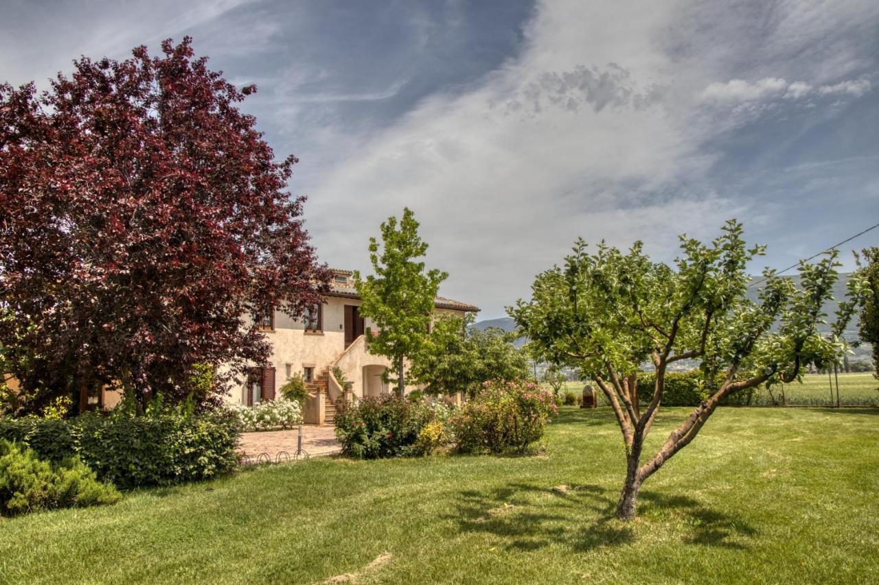 Agriturismo Il Barco Spello Eksteriør billede