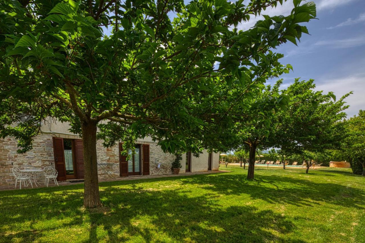 Agriturismo Il Barco Spello Eksteriør billede