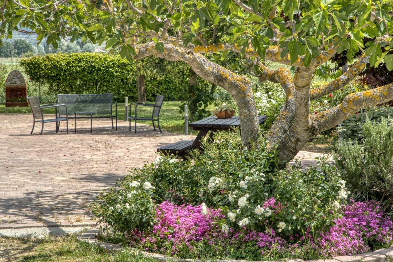 Agriturismo Il Barco Spello Eksteriør billede