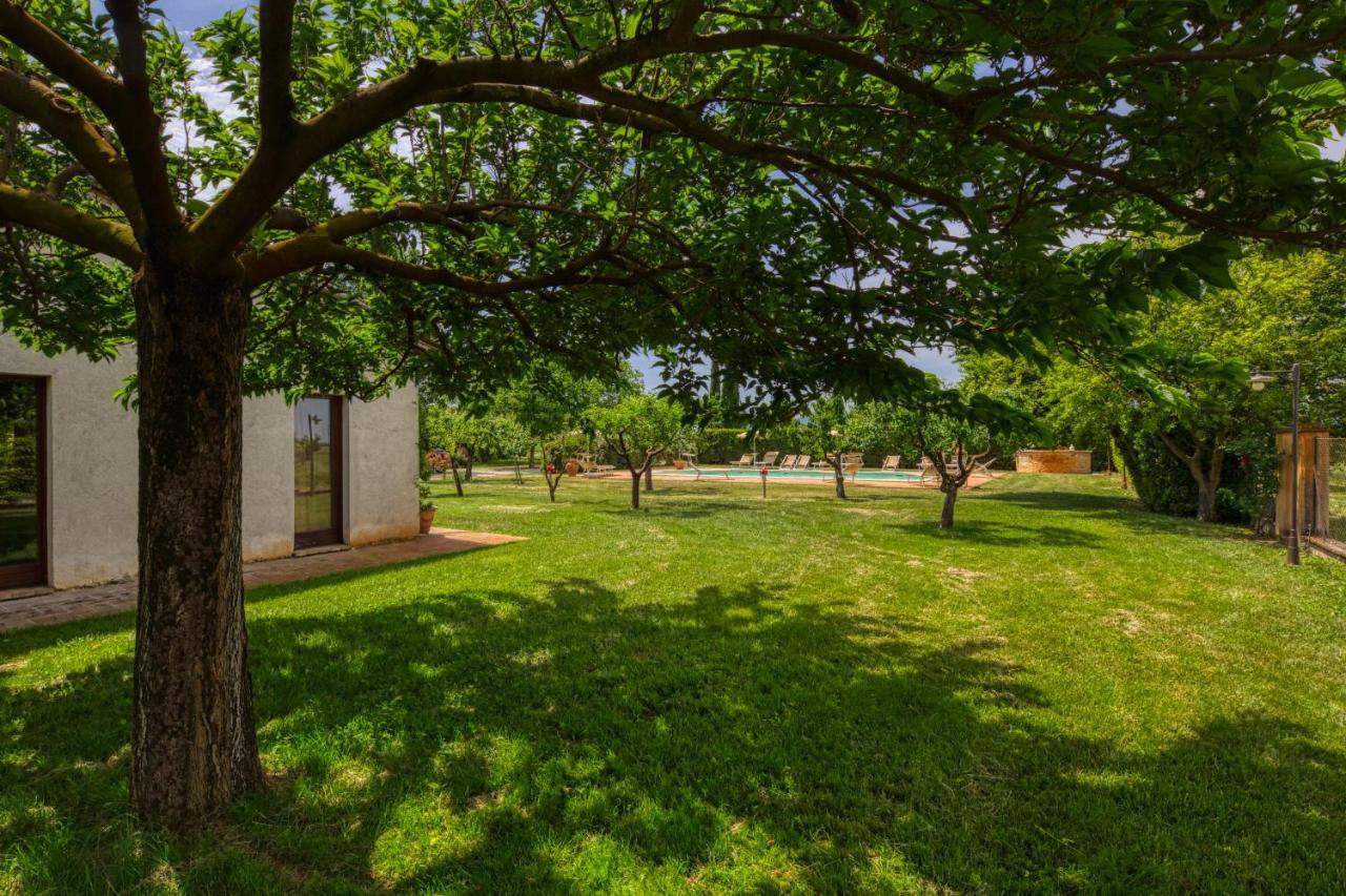 Agriturismo Il Barco Spello Eksteriør billede