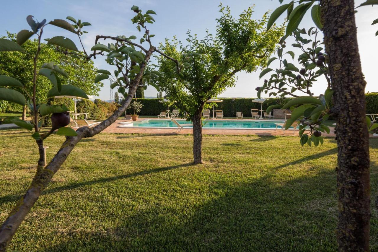 Agriturismo Il Barco Spello Eksteriør billede