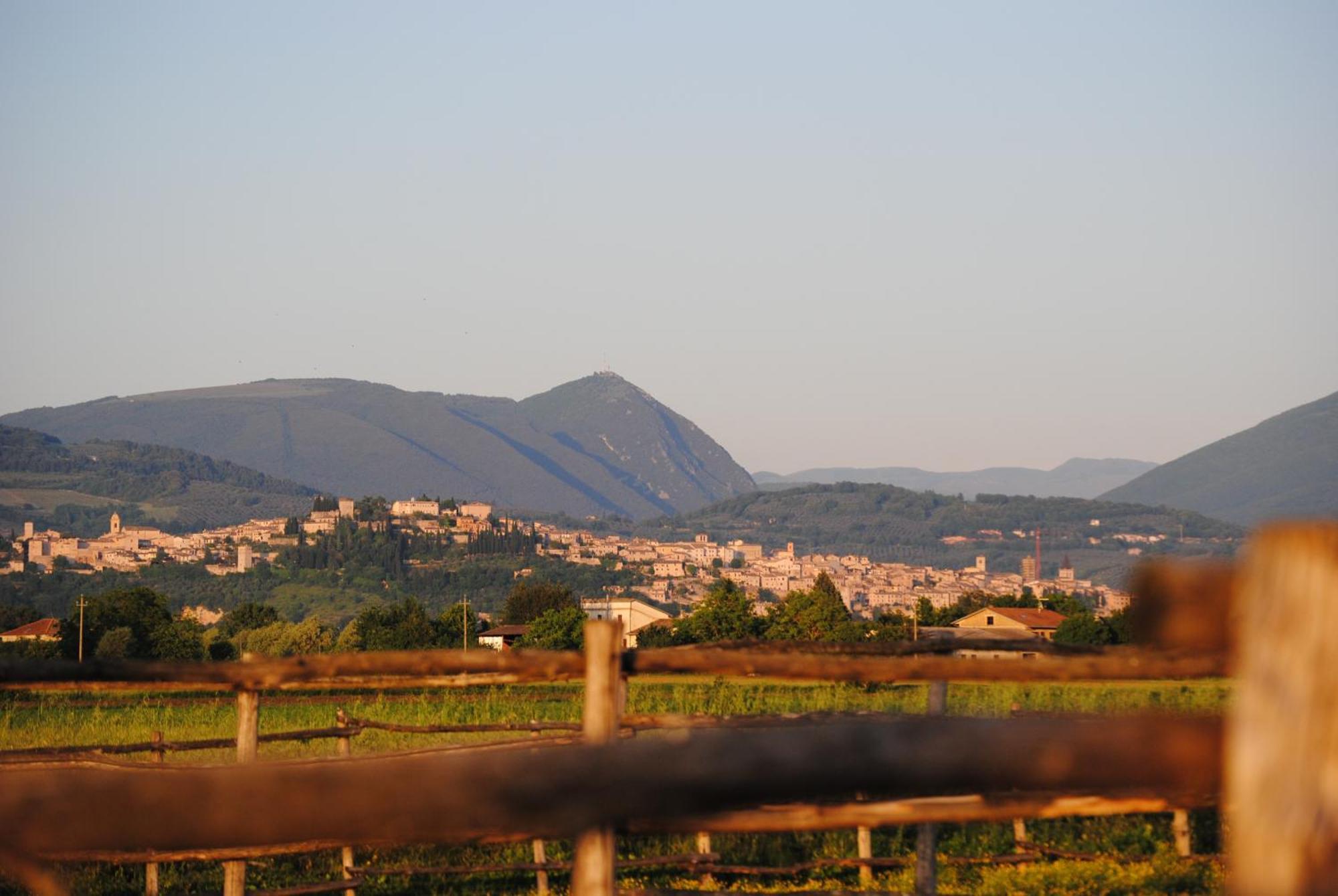 Agriturismo Il Barco Spello Eksteriør billede