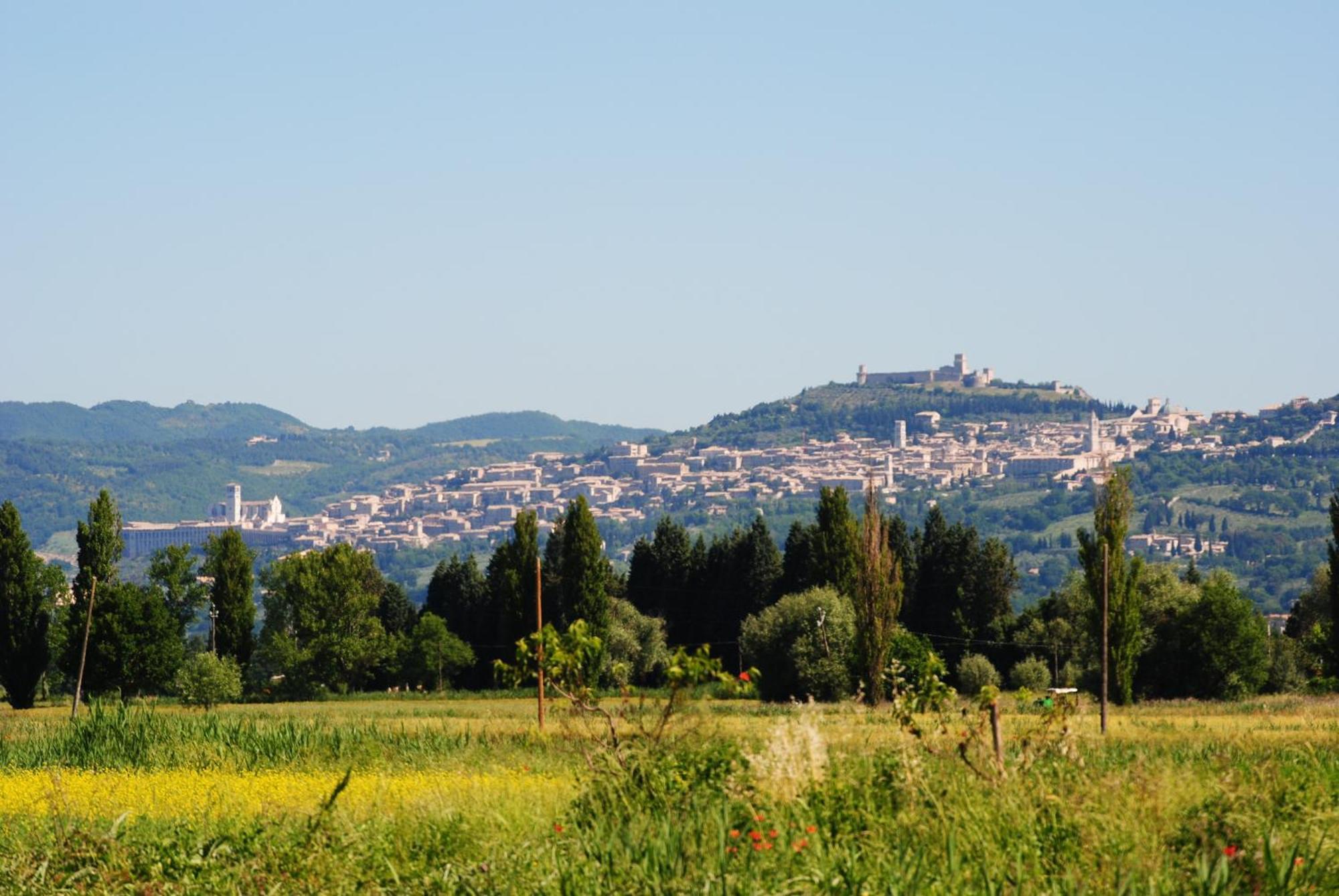 Agriturismo Il Barco Spello Eksteriør billede