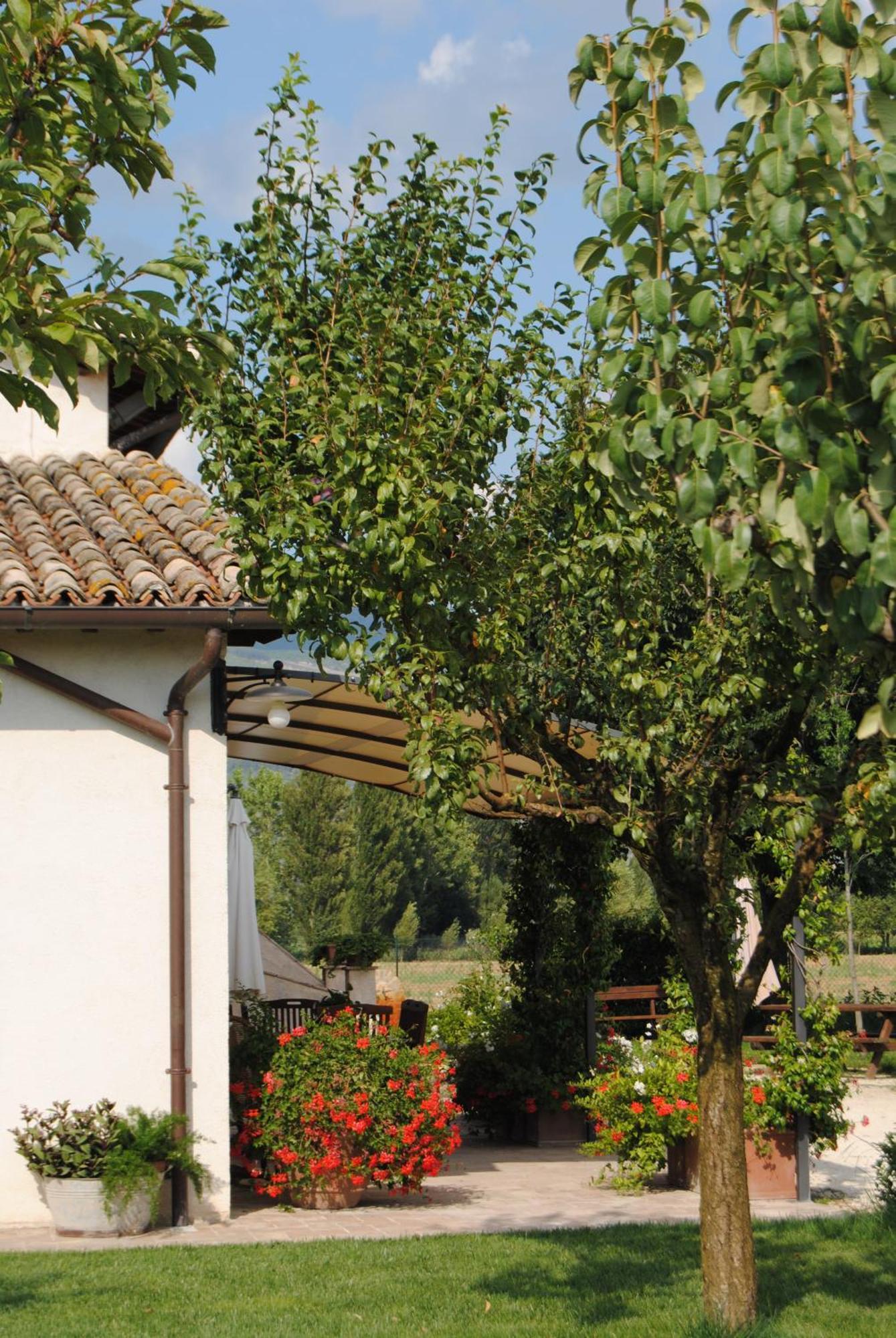 Agriturismo Il Barco Spello Eksteriør billede