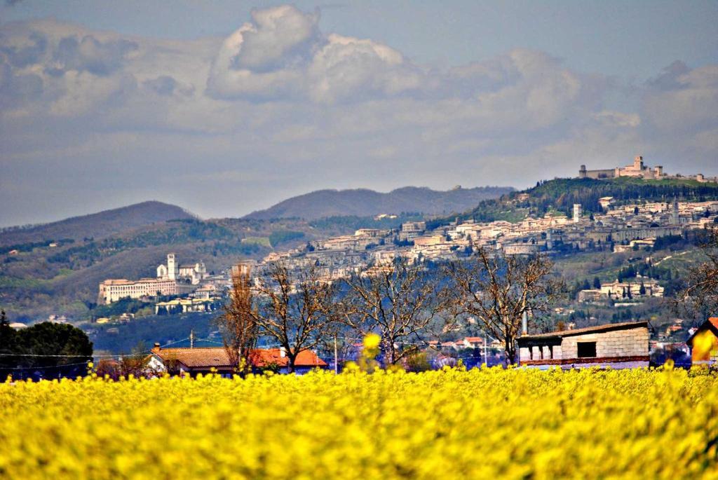 Agriturismo Il Barco Spello Eksteriør billede