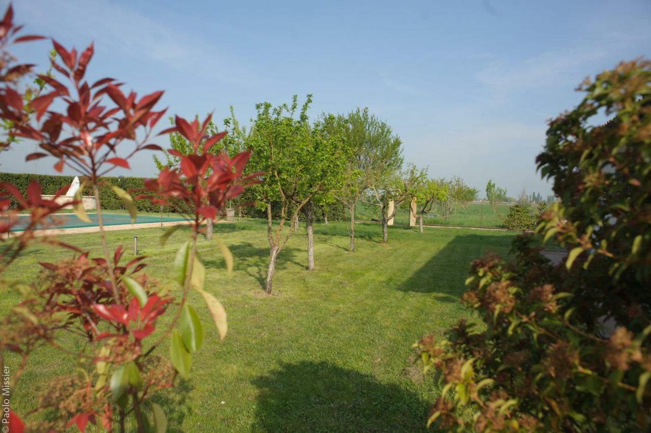 Agriturismo Il Barco Spello Eksteriør billede