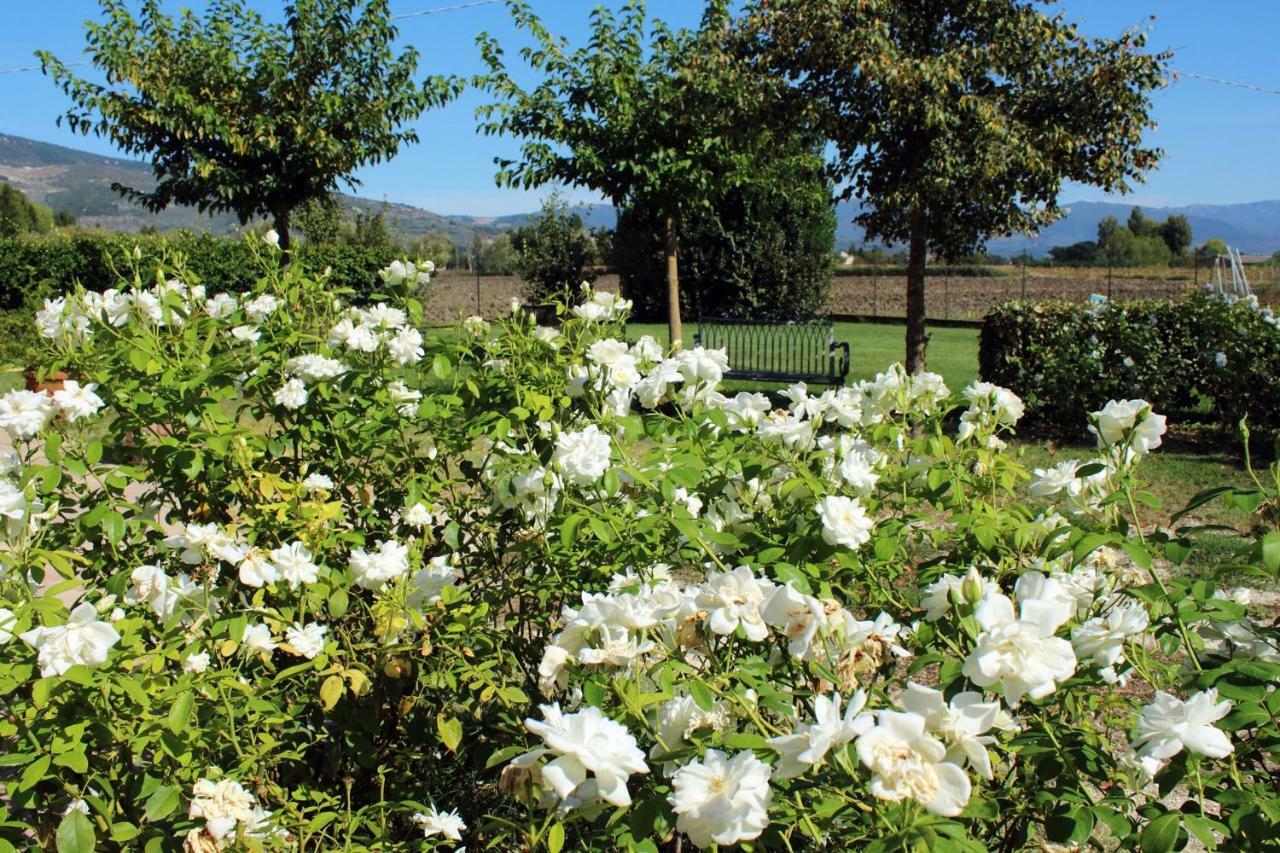 Agriturismo Il Barco Spello Eksteriør billede